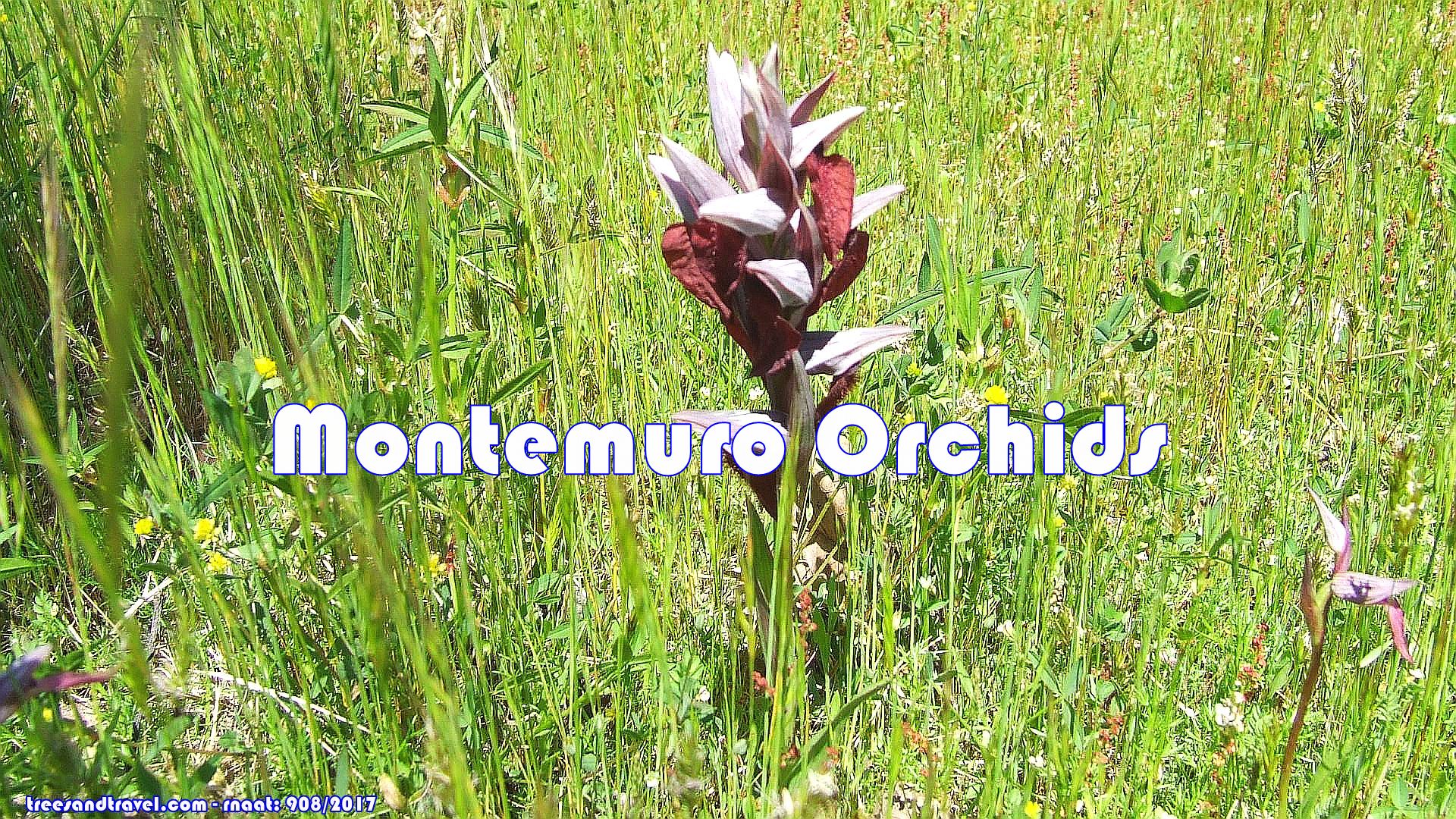 sring equinox - serra Montemuro
