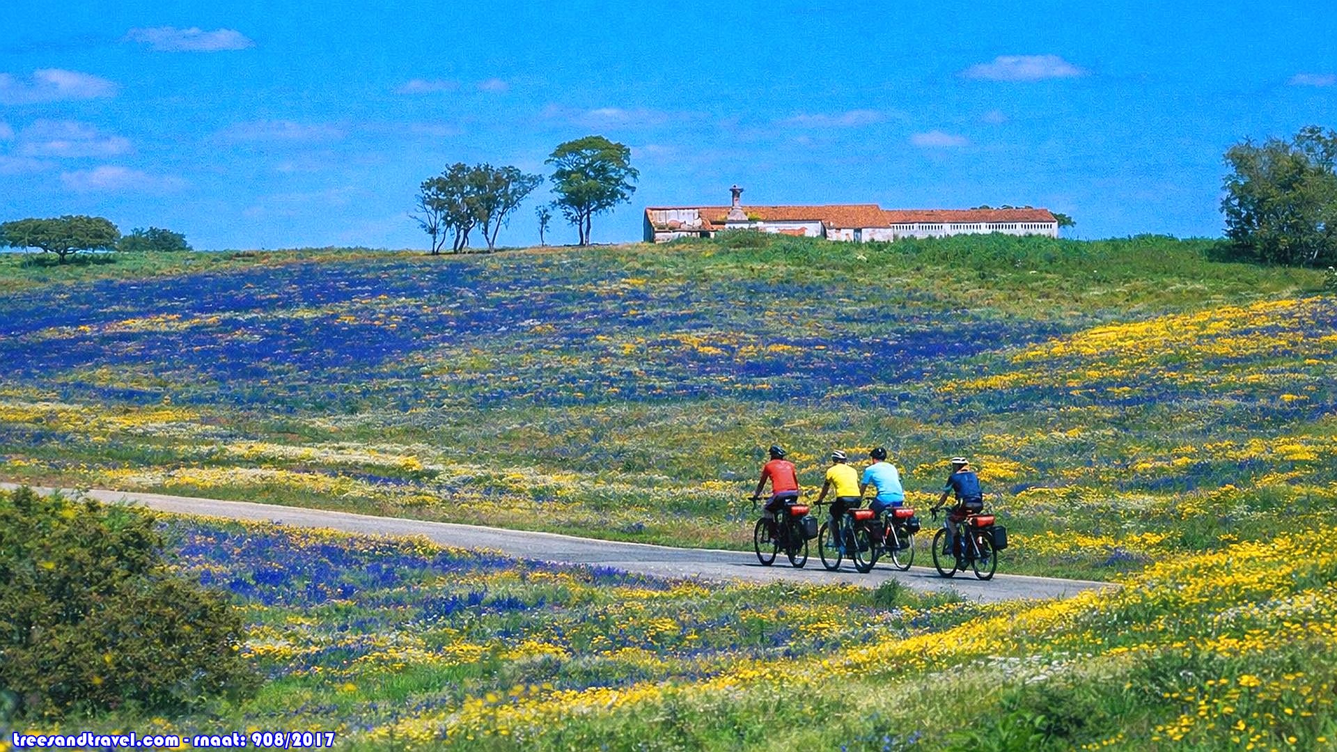 Primavera no Alentejo