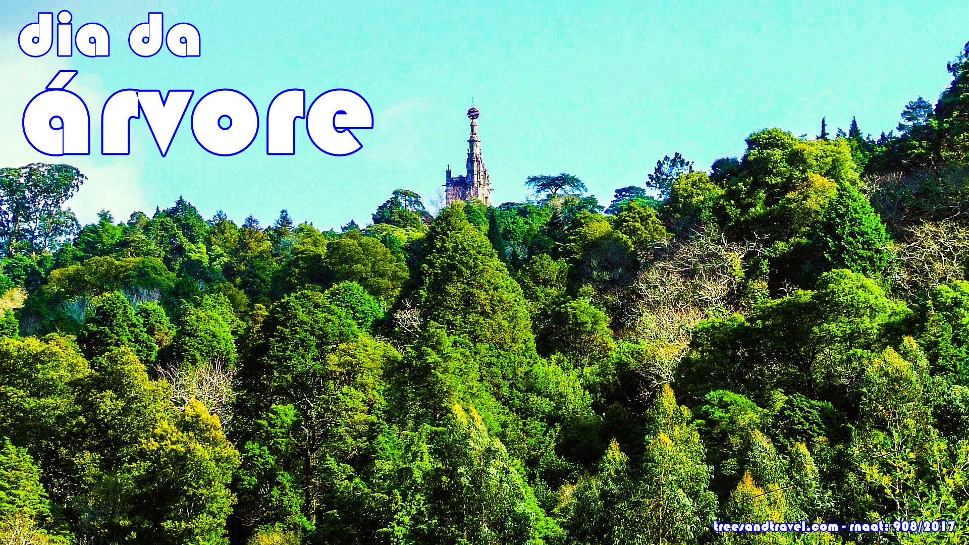 dia da árvore, Buçaco