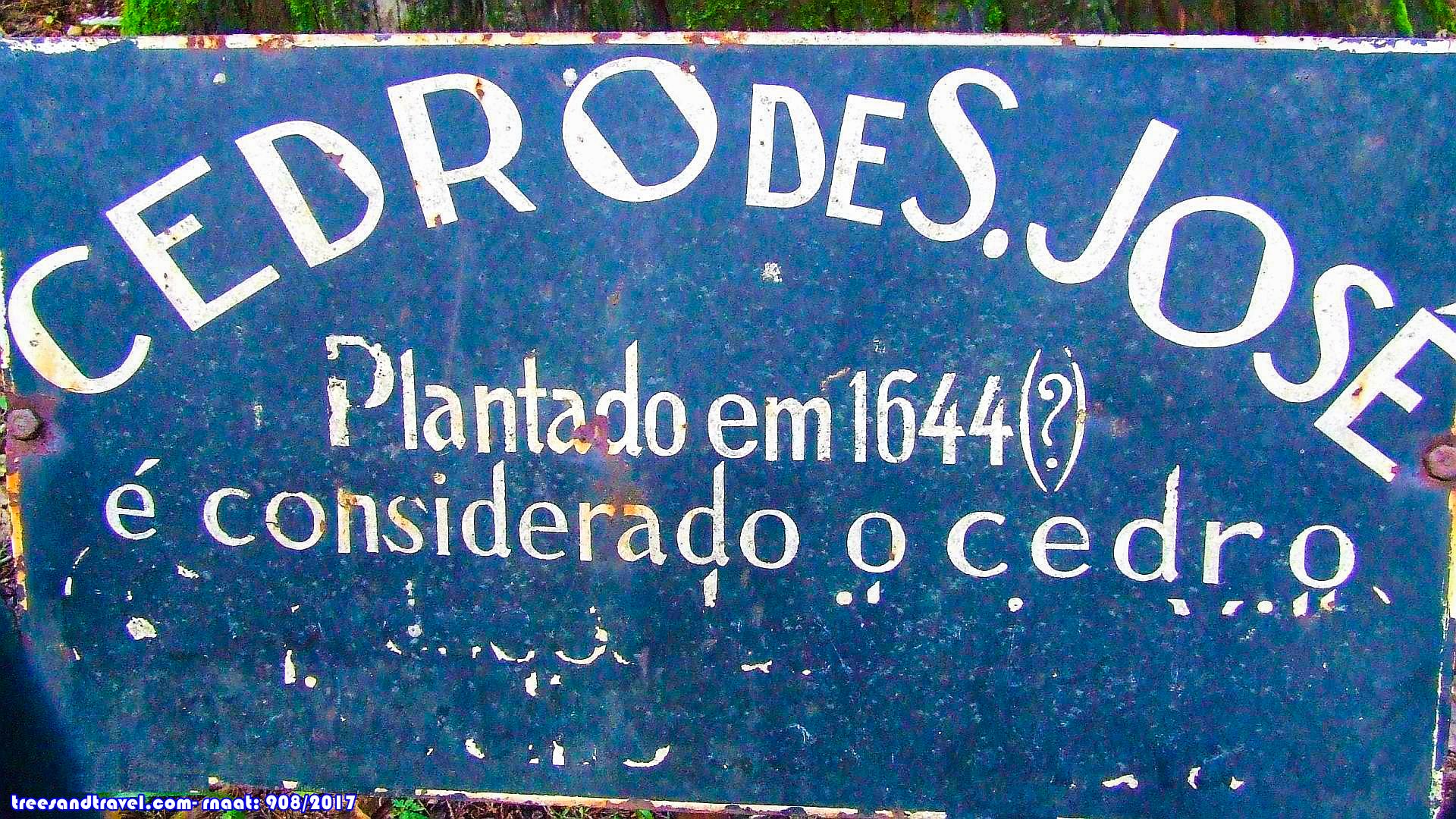 dia da árvore, Buçaco