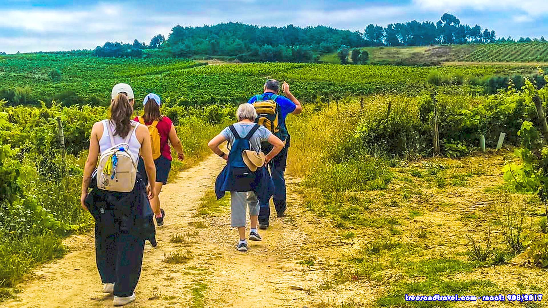 Queijo do Rabaçal DOP