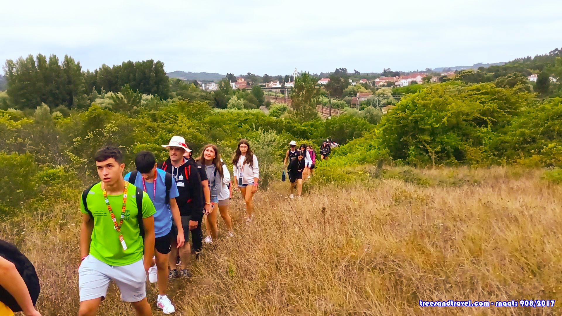 Mogofores, Rota dos Brasões
