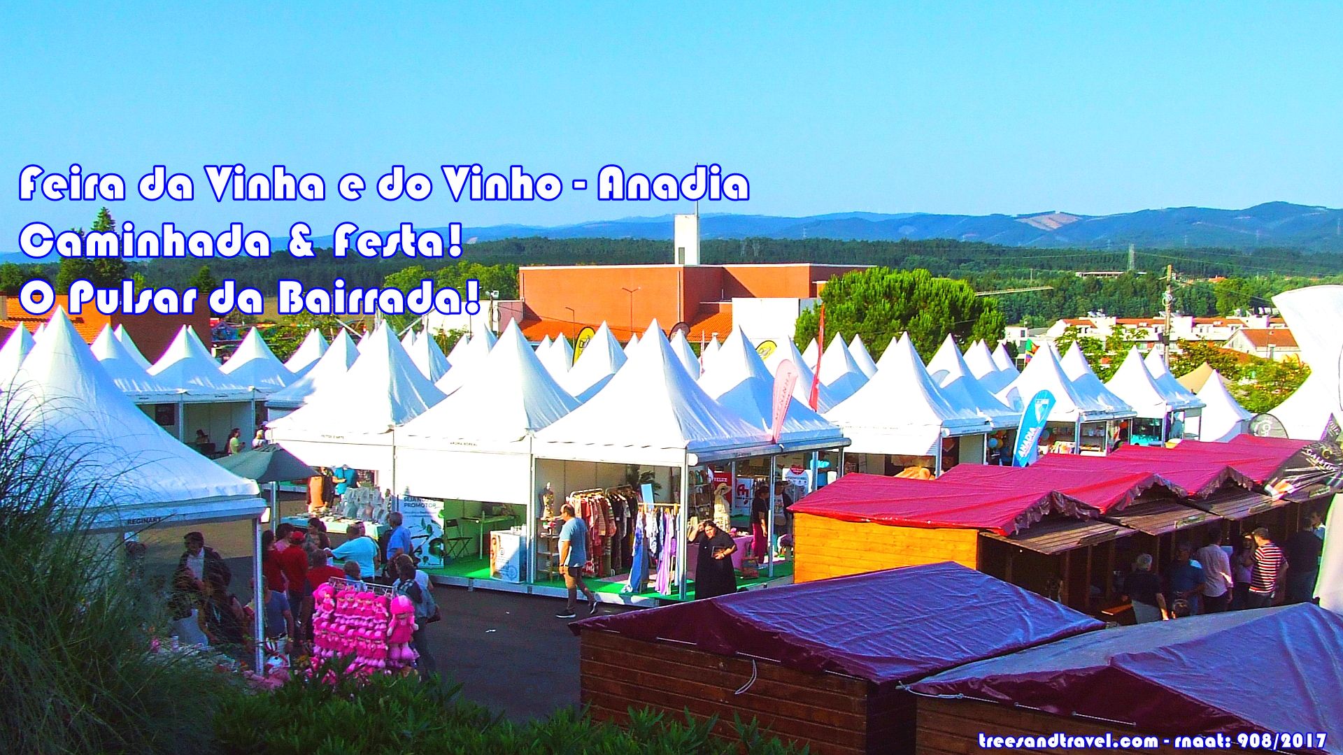 Anadia Feira da Vinha e do Vinho