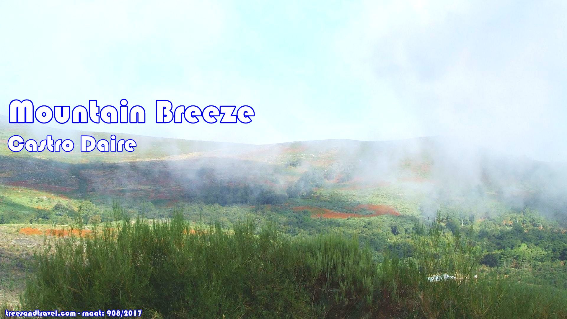 Mountain Breeze in Castro Daire