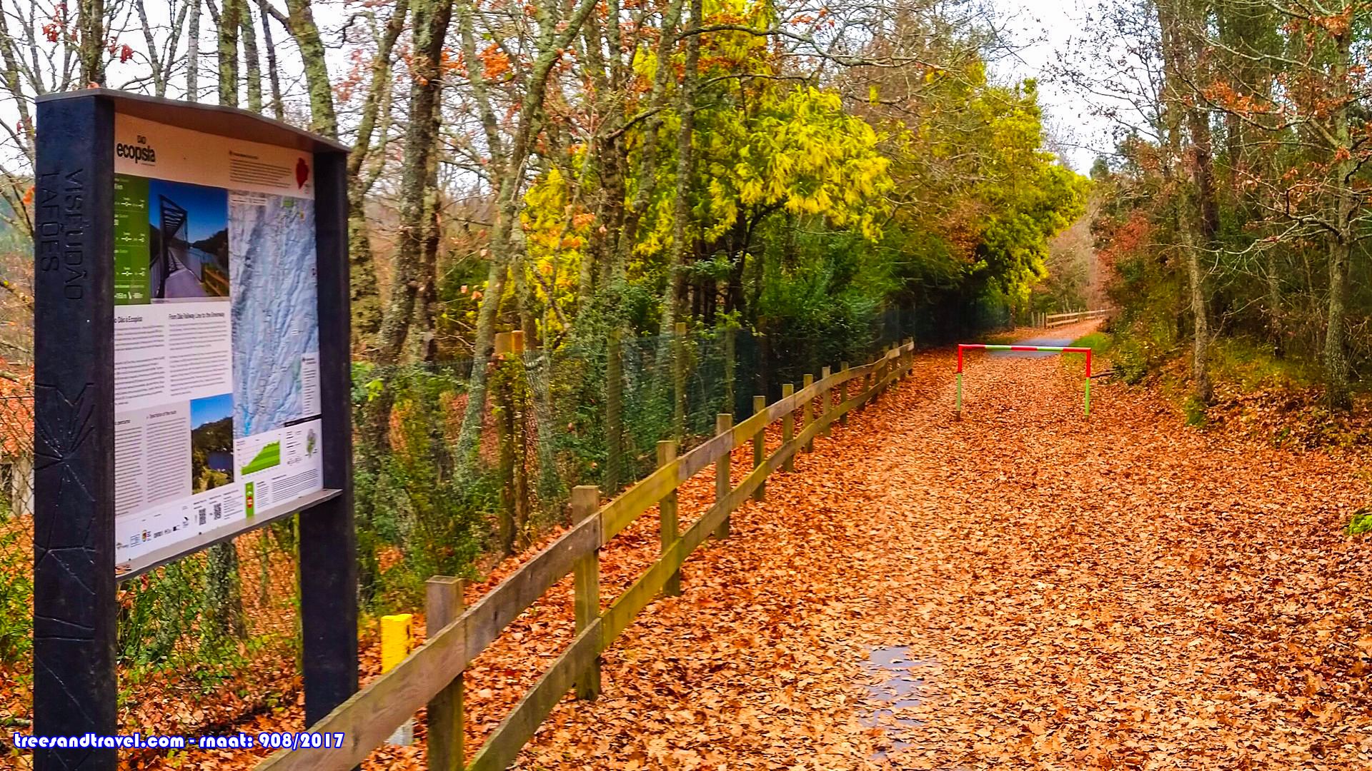 ecopista do Dão