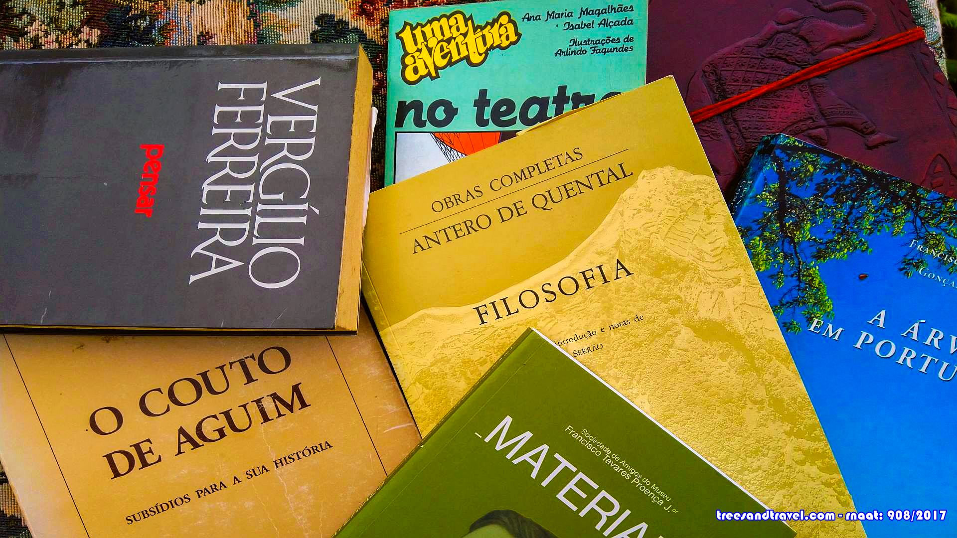 dia do livro português